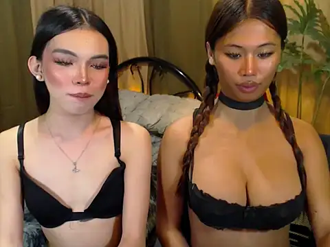 TWINKTRANSSHANEL