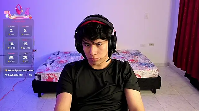 Dulozweb