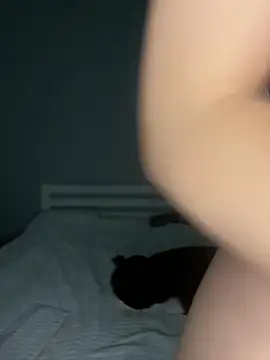 LittleFox___