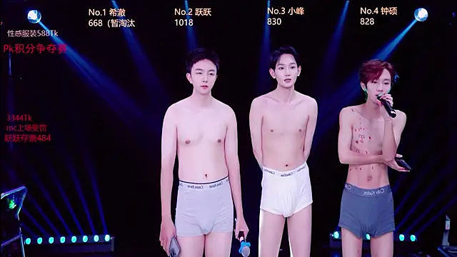 Boygayhouse