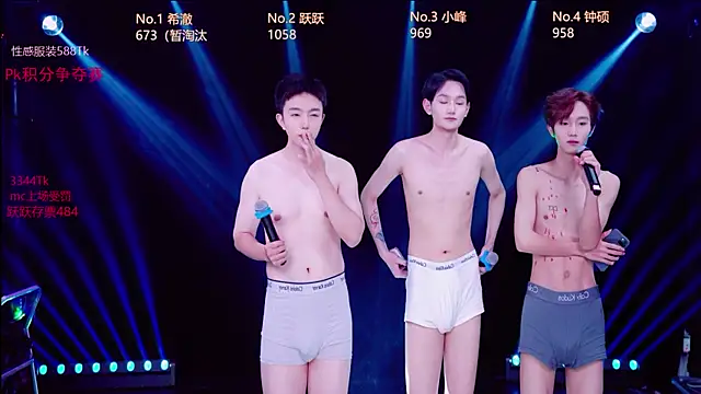Boygayhouse