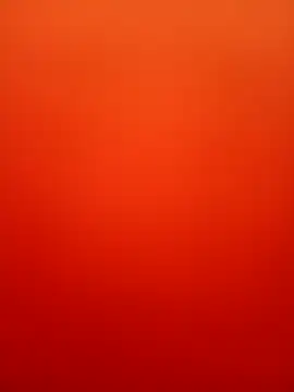 sali ji