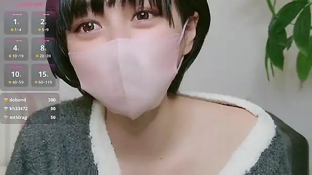 cohaku 329