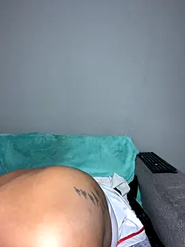 MimiCurves
