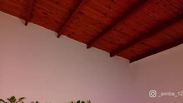 annie_barozzi
