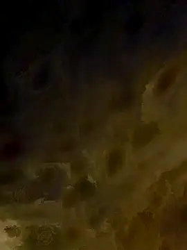 dakotafail92