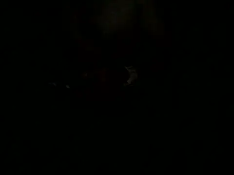 Sexyrkv91