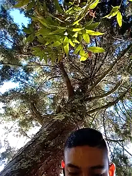Demiansteven2