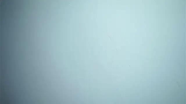 CataleyaSyrene