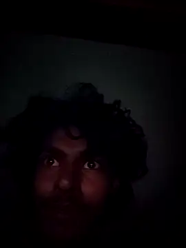 thecatfish