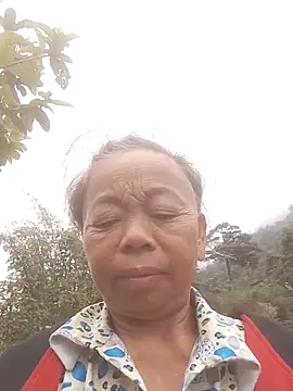 VangLe73