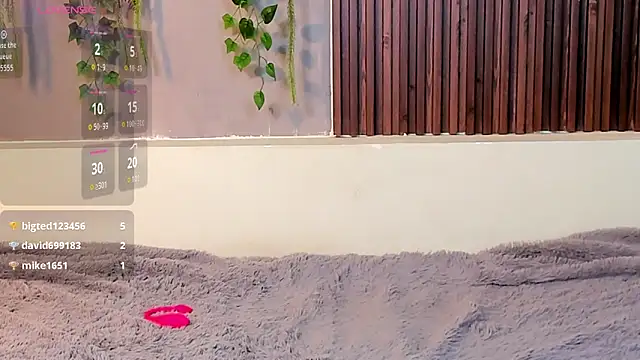 Dakotaferreti