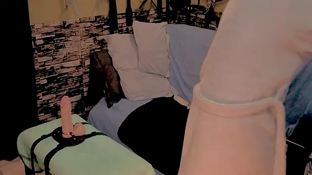Preview of scarlett_switch