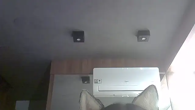 skinnykitten - SkinnyKitten's free webcam - UK Sex Cams