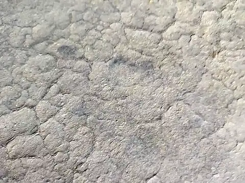 Co_punam