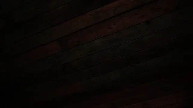 juliana_browns