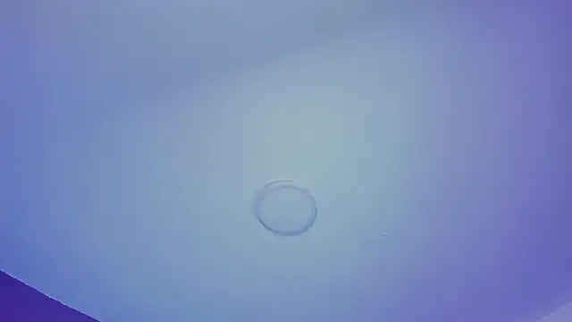 ShaniaDaniels webcam stripchat model stream image