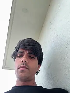 Telugukannadabull