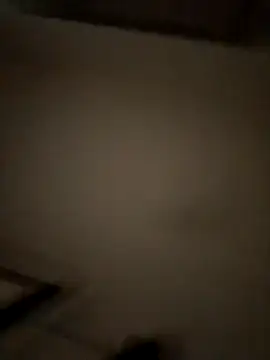 Preview of young_swisscouple