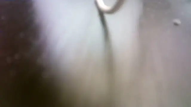 pau65vb (M grandpa) - #anal #belgian #bisexuals #cam2cam #cheapest-privates #grandpas #handjob #hd #masturbation #medium #recordable-privates #recordable-publics #small-audience #white