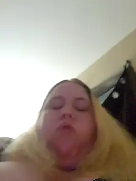 Tabbycat27