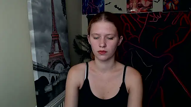 StellaCRL