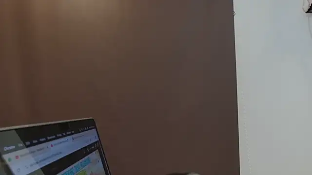 Webcam with 307 viewers