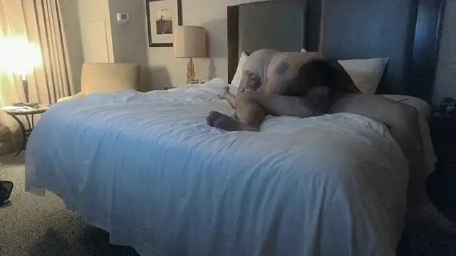 spincouple (Ask my age) - #american #blowjob #cam2cam #cheapest-privates #cowgirl #creampie #cumshot #deepthroat #dildo-or-vibrator #dirty-talk #doggy-style #facesitting #fingering #hd #masturbation #new #orgasm #sex-toys #spanking #titty-fuck #topless #twerk #american #blowjob #brunettes #brunettes-blowjob #cam2cam #cheapest-privates #cheapest-privates-white #cowgirl #creampie #deepthroat #deepthroat-blowjob #dildo-or-vibrator #dildo-or-vibrator-deepthroat #dirty-talk #doggy-style #doggy-style-creampie #facesitting #fingering #fingering-white #hd #masturbation #medium #moderately-priced-cam2cam #new #new-brunettes #new-cheapest-privates #new-white #orgasm #sex-toys #spanking #titty-fuck #topless #topless-white #twerk #twerk-white #white