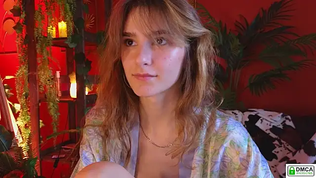 soft_animal_