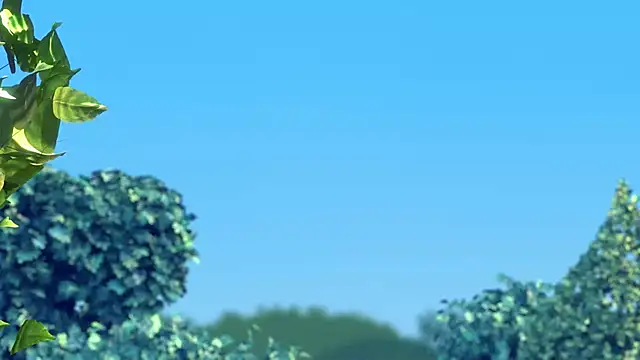 streamy_test13