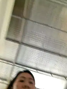 Panda_101
