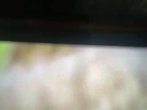 Naia_and_Alex webcam