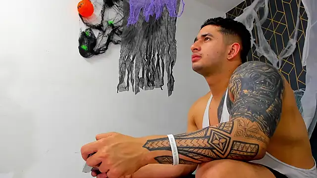 king_falconer (M young) - cum show