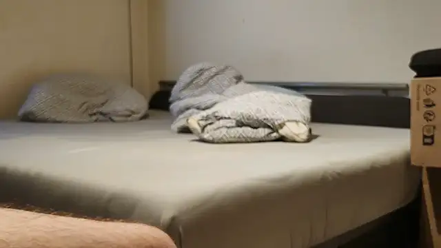 Alphapimmelchen webcam