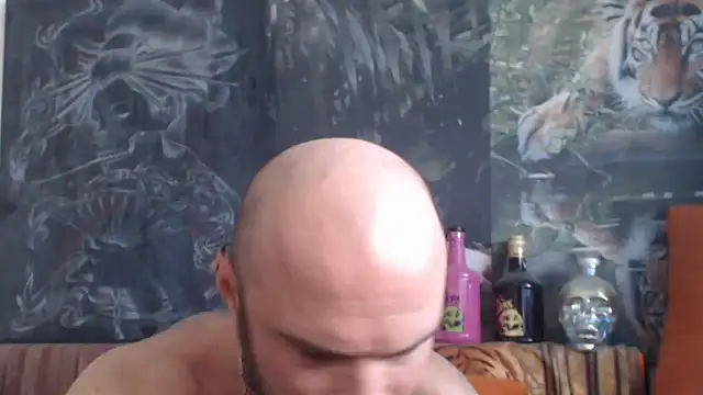 viking_30 webcam