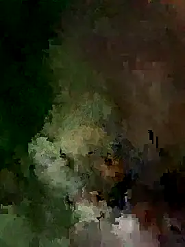 Phonchan webcam