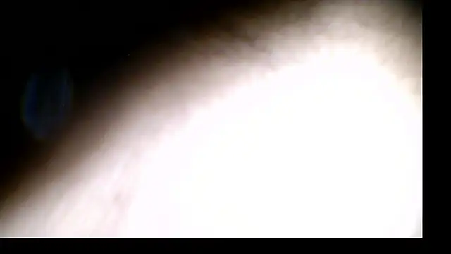 penesillo79 webcam