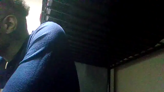 ReallyReallyReal webcam