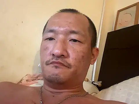 vice0818 webcam