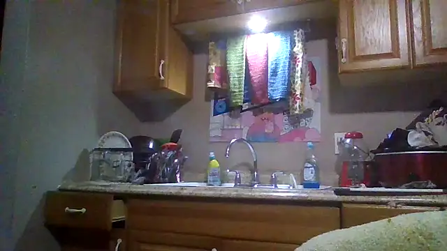 ReallyReallyReal webcam