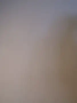 _Chartlotte webcam