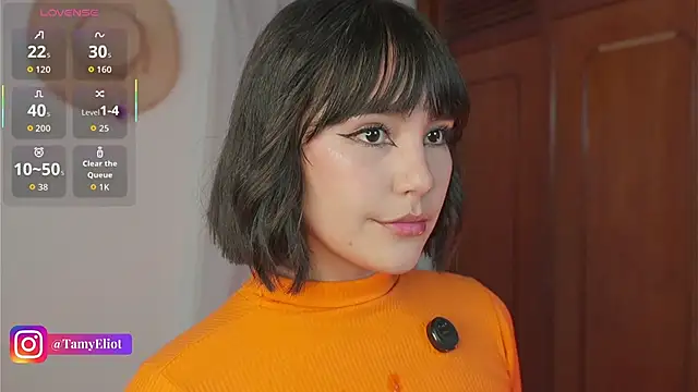 Tamyeliot webcam