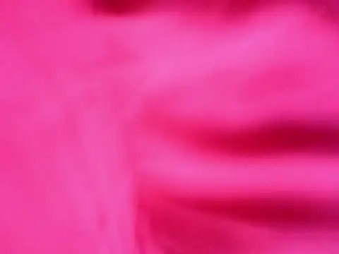 harinisree webcam