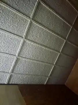zaneporter46