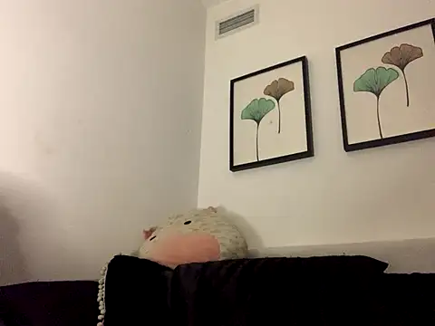 Vanessa0wnesHim webcam
