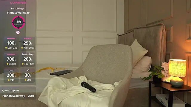 Ashley-Evans webcam