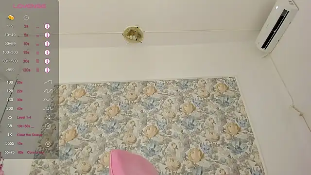illegal_lorry webcam
