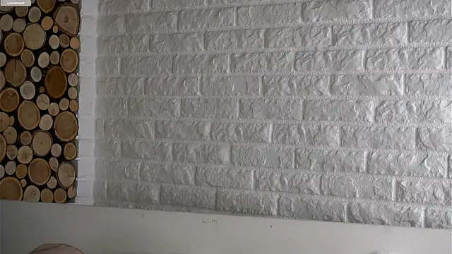 LowOncoming webcam