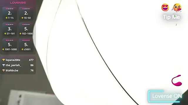 adisson_fox webcam