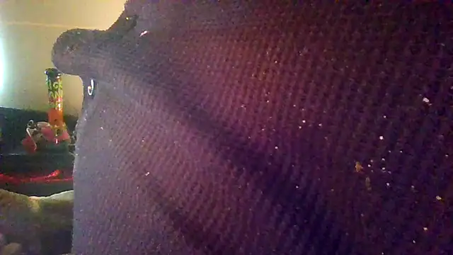 ReallyReallyReal webcam